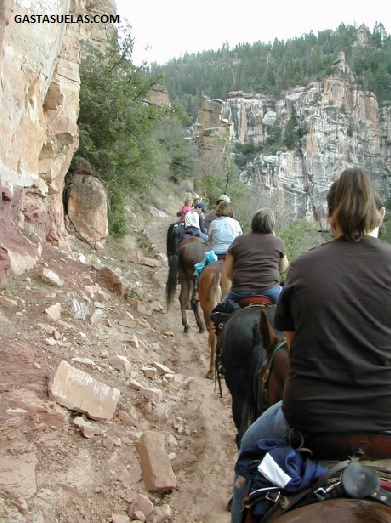 Rutas a caballo por el Gran Cañón del Colorado (USA)