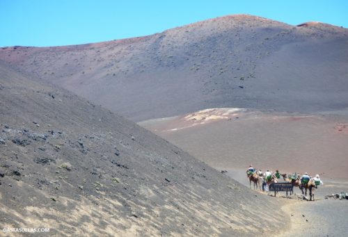 Excursión en camello por Timanfaya (Lanzarote)