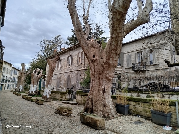 Rue des Teinturiers (Aviñón, Provenza)