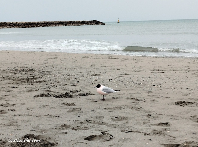 Playa en Saintes-Maries-de-la-Mer (Provenza, Francia)