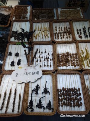 Comida Zhujiajiao (China) Brochetas de escorpiones en Zhujiajiao (China)